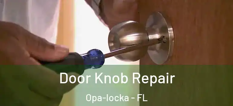  Door Knob Repair Opa-locka - FL