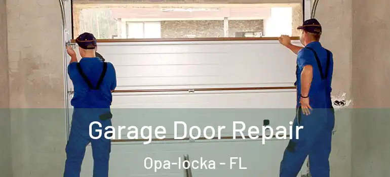  Garage Door Repair Opa-locka - FL