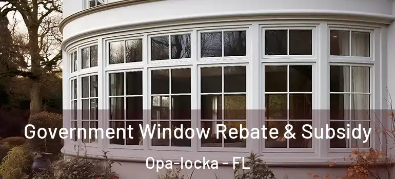  Government Window Rebate & Subsidy Opa-locka - FL