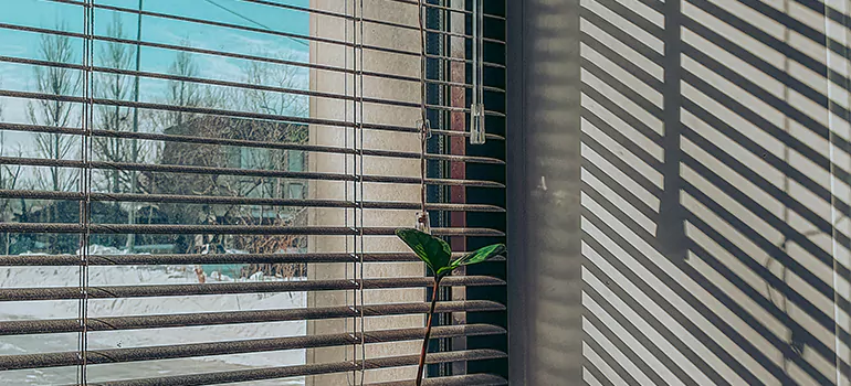 Commercial Window Blinds in Opa-locka, FL